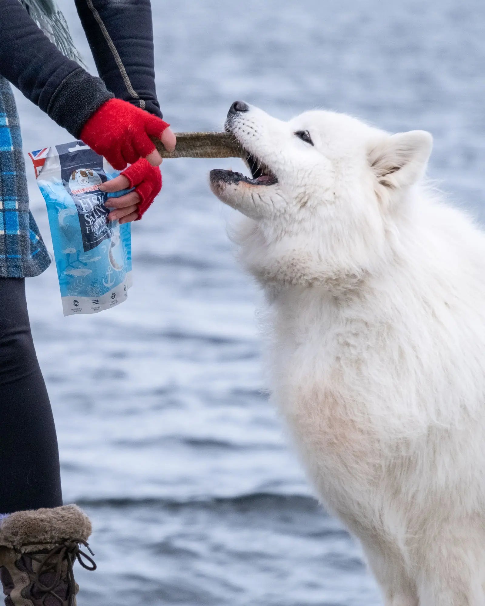 Fish Skin Flatties - Skipper's Pet Products