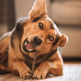 Fish Skin Flatties - Skipper's Pet Products