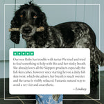 Fish Skin Twists - Try For £1 - Skipper's Pet Products