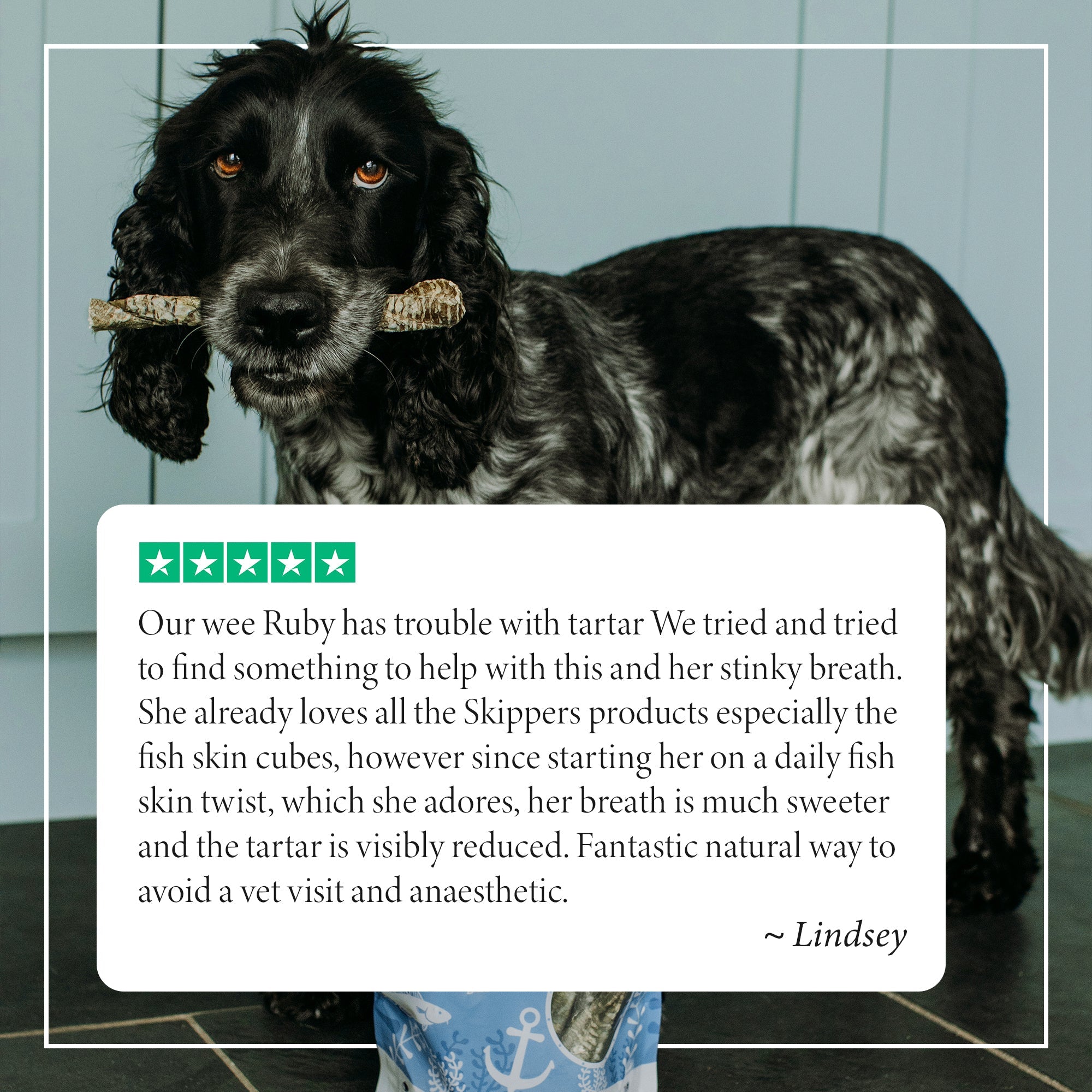 Fish Skin Twists - Try For £1 - Skipper's Pet Products