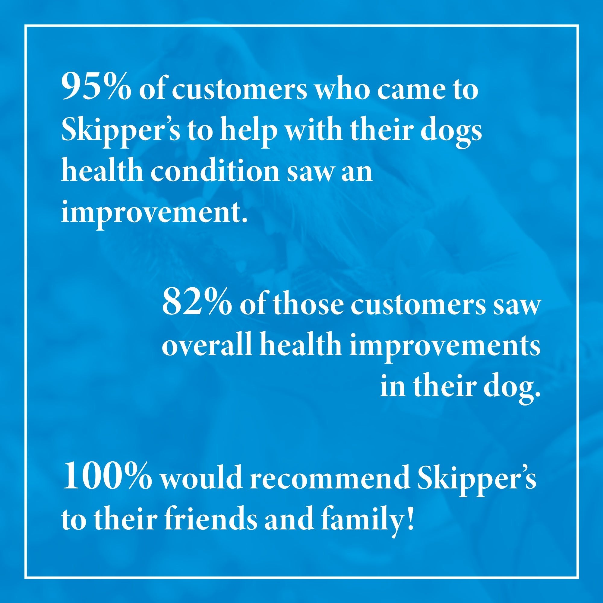 Fish Skin Twists - Try For £1 - Skipper's Pet Products