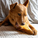 Goat Ears - Skipper's Pet Products