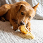 Goat Ears - Skipper's Pet Products