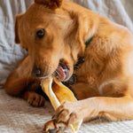 Goat Ears - Skipper's Pet Products