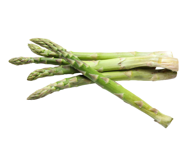 Asparagus, an ingredient in Skipper's dog food