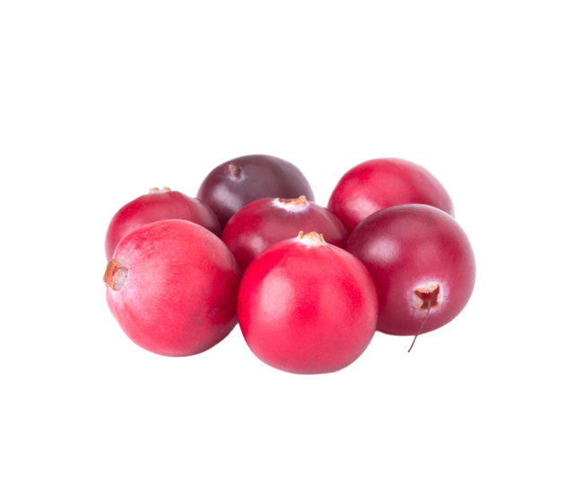 Cranberries, an ingredient in Skipper's dog food