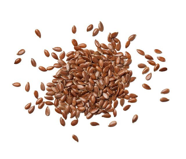 Linseed, an ingredient in Skipper's dog food