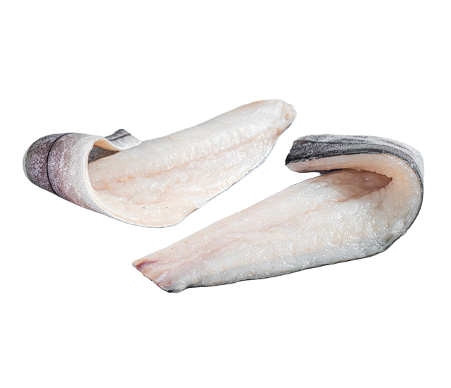 Haddock, an ingredient in Skipper's dog food