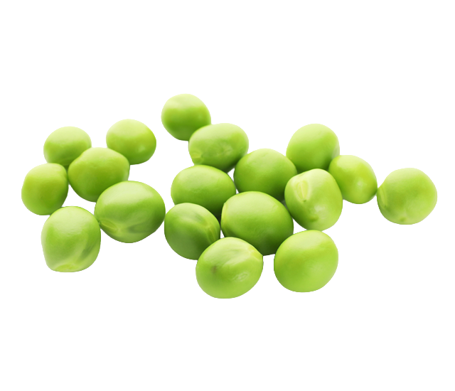 Peas, an ingredient in Skipper's dog food