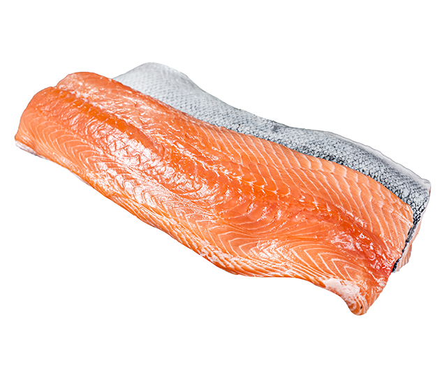 Salmon, an ingredient in Skipper's dog food