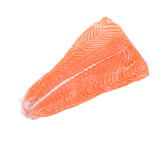 Trout, an ingredient in Skipper's dog food