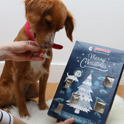 Christmas Advent Calendar