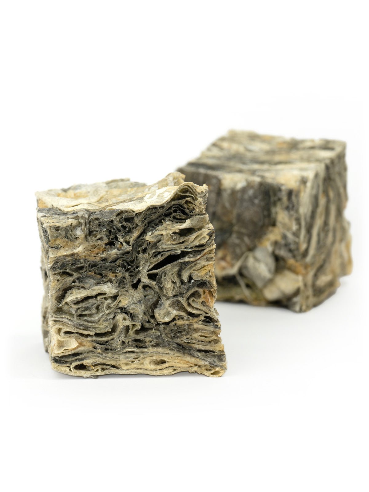 Jumbo Jerky Toothbrush Cube 100% Cod