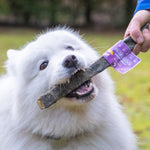 Jumbo Jerky Toothbrush - With Wolf Fish - Skipper's Pet Products