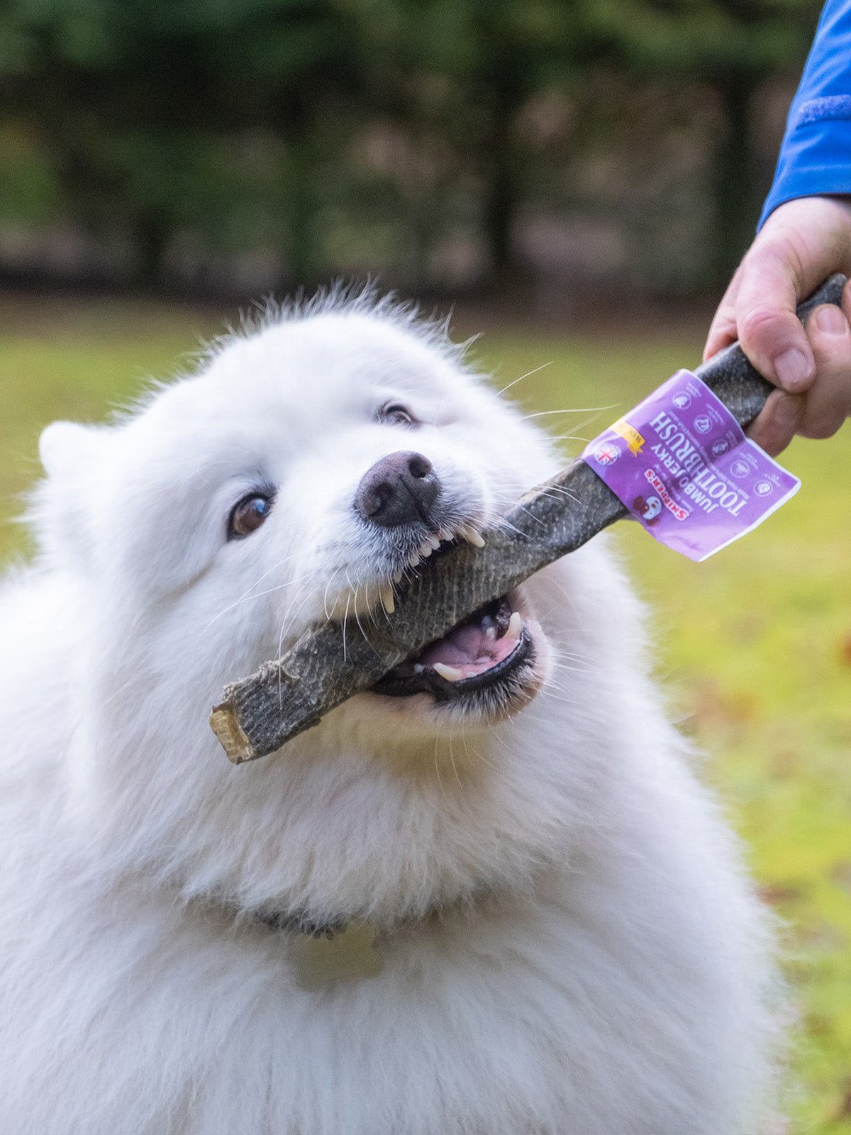 Jumbo Jerky Toothbrush - With Wolf Fish - Skipper's Pet Products
