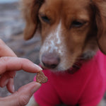 Love Bites - 100% Salmon & Cod - Skipper's Pet Products
