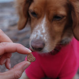 Love Bites - 100% Salmon & Cod - Skipper's Pet Products