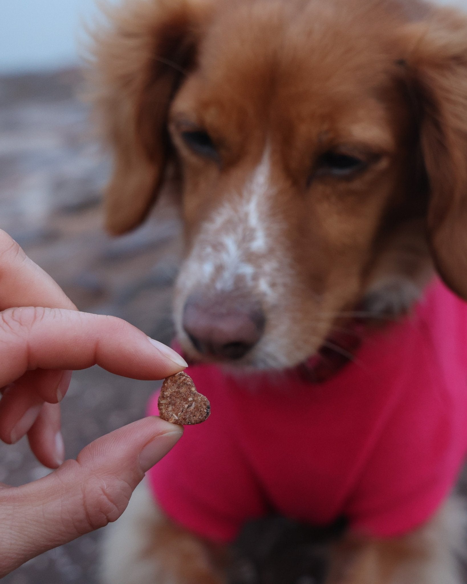 Love Bites - 100% Salmon & Cod - Skipper's Pet Products