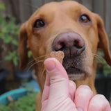 Love Bites - 100% Salmon & Cod - Skipper's Pet Products