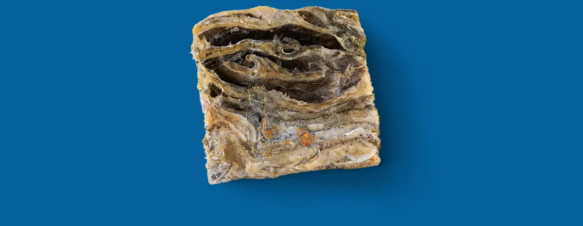 Skipper's Fish Skin Cubes