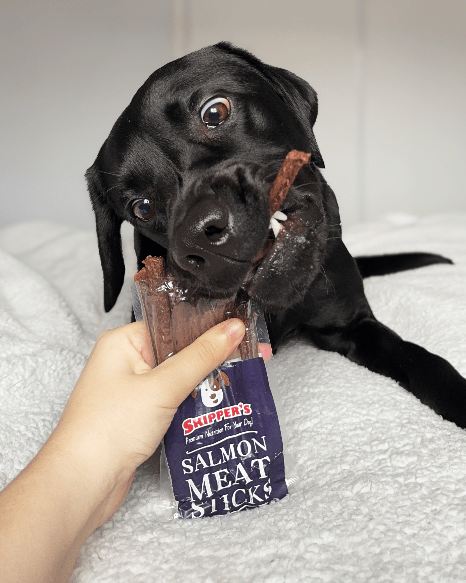 Salmon Meat Sticks - Skipper's Pet Products