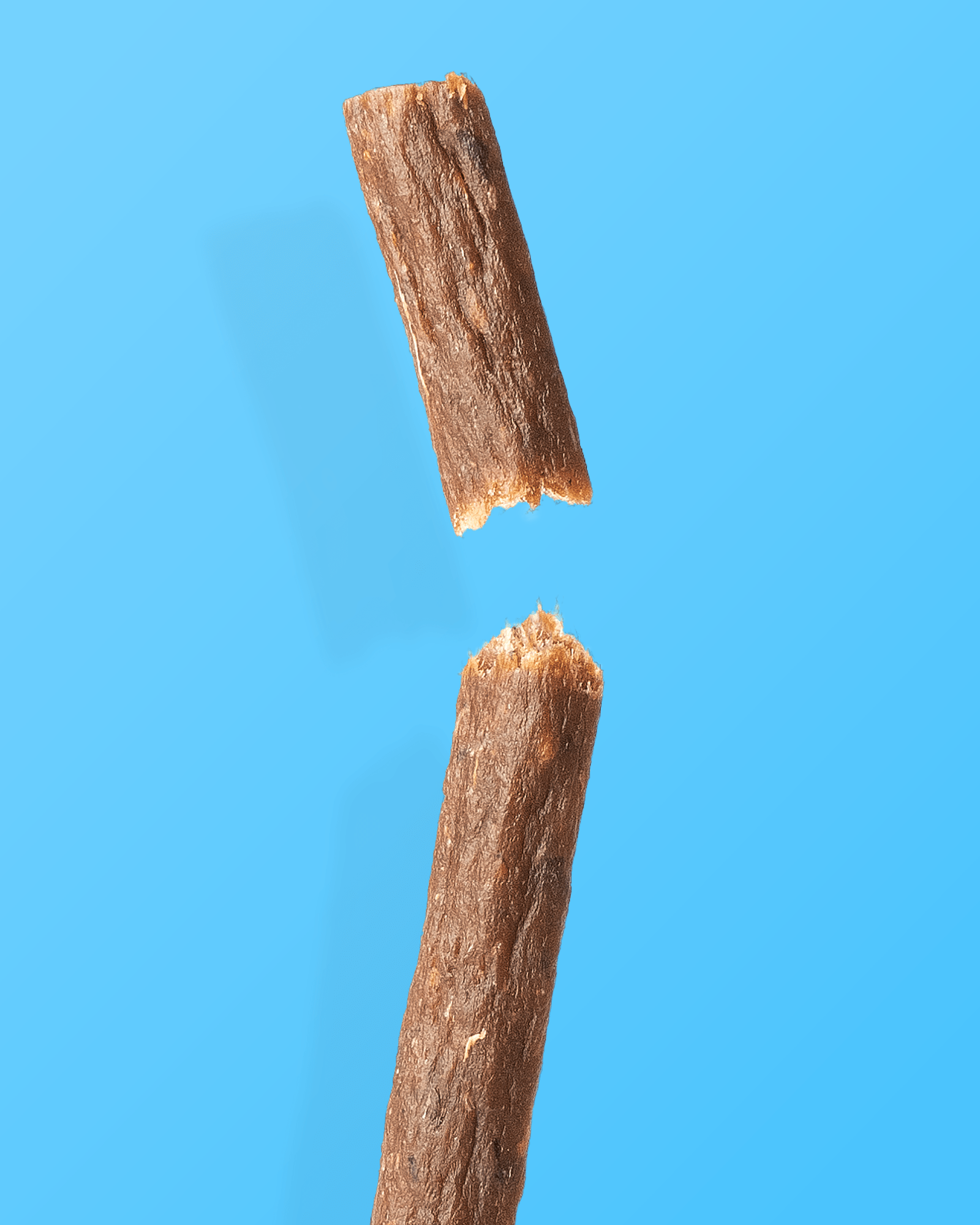 Salmon Meat Sticks - Skipper's Pet Products