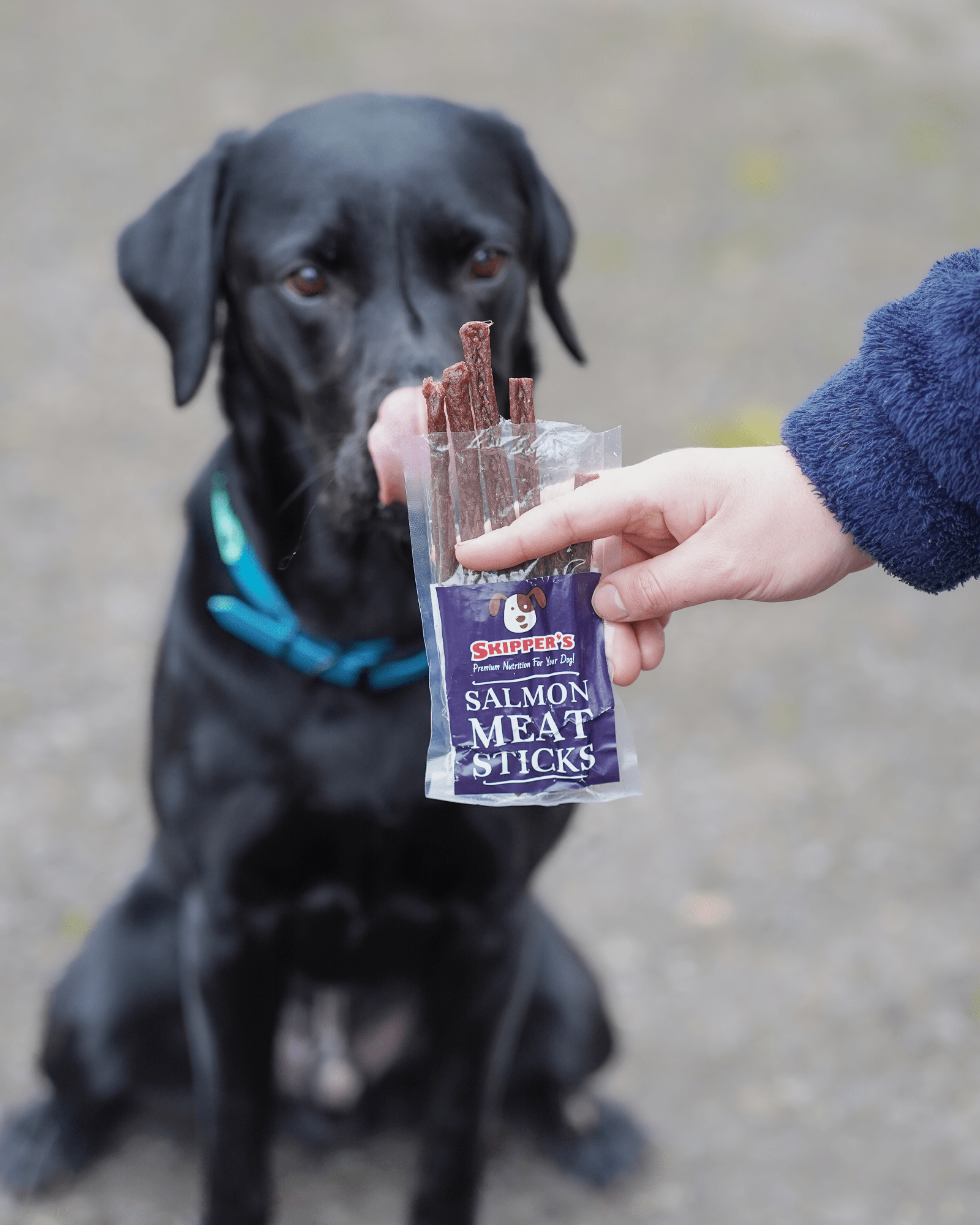 Salmon Meat Sticks - Skipper's Pet Products