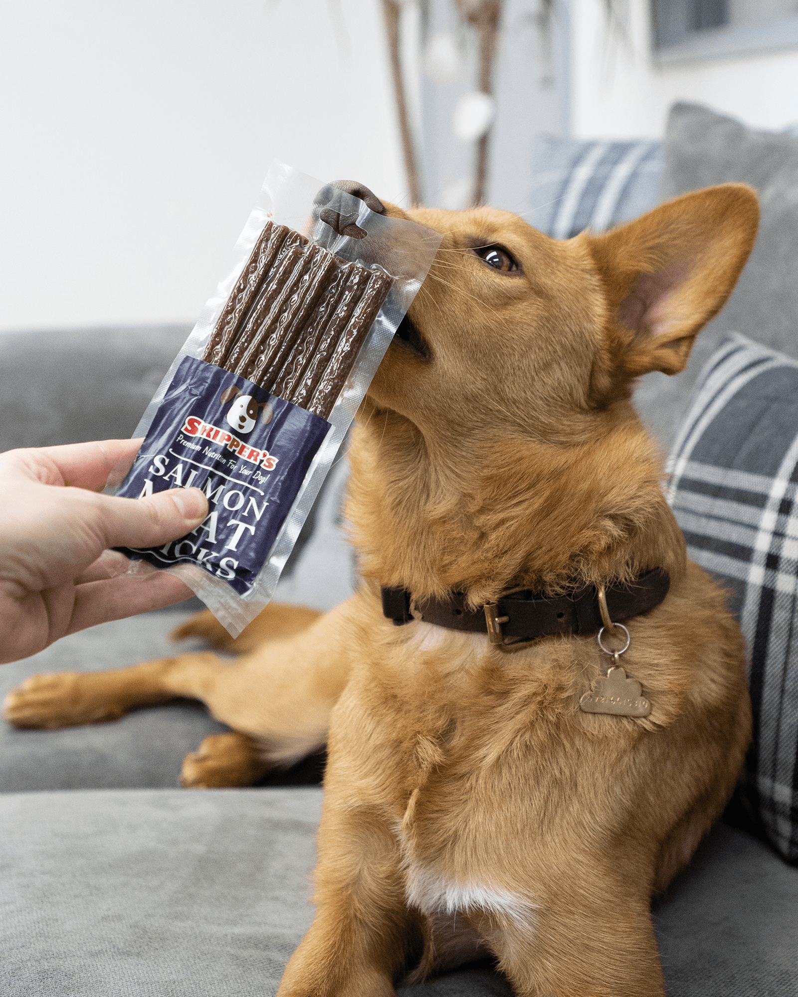Salmon Meat Sticks - Skipper's Pet Products