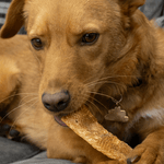Squid Strips - Skipper's Pet Products