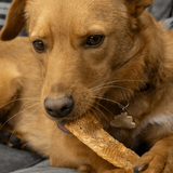 Squid Strips - Skipper's Pet Products