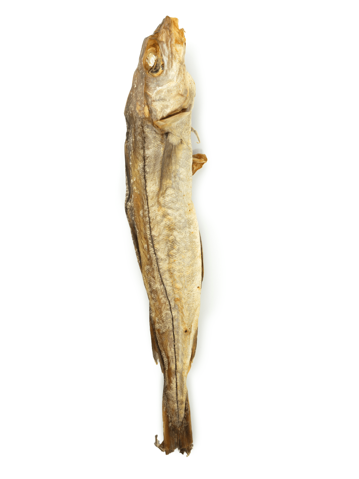 Whole Dried Haddock - Skipper's Pet Products