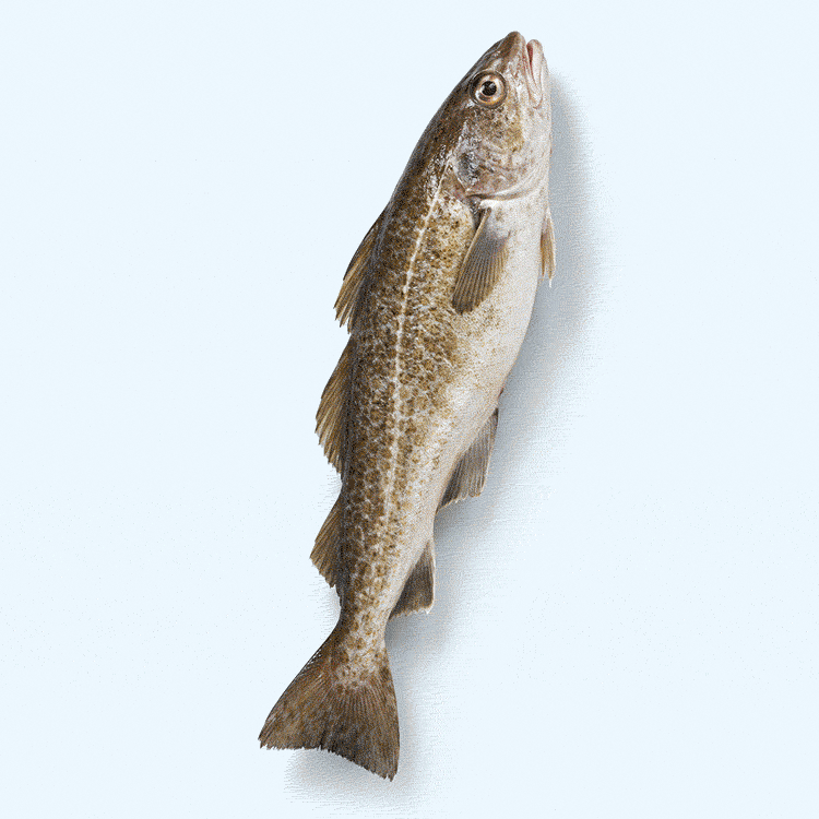 Skipper's air-dried fish skin dog treats