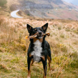 Essential Bundle | Ocean Feast Grain Free Dog Food + Dental Treats + FREE 1L Salmon Oil