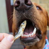 Dried Sprats