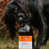 Salmon Oil for Dogs