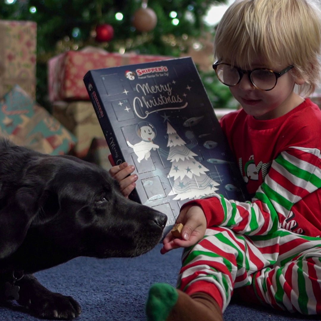 Christmas Advent Calendar - Skipper's Pet Products