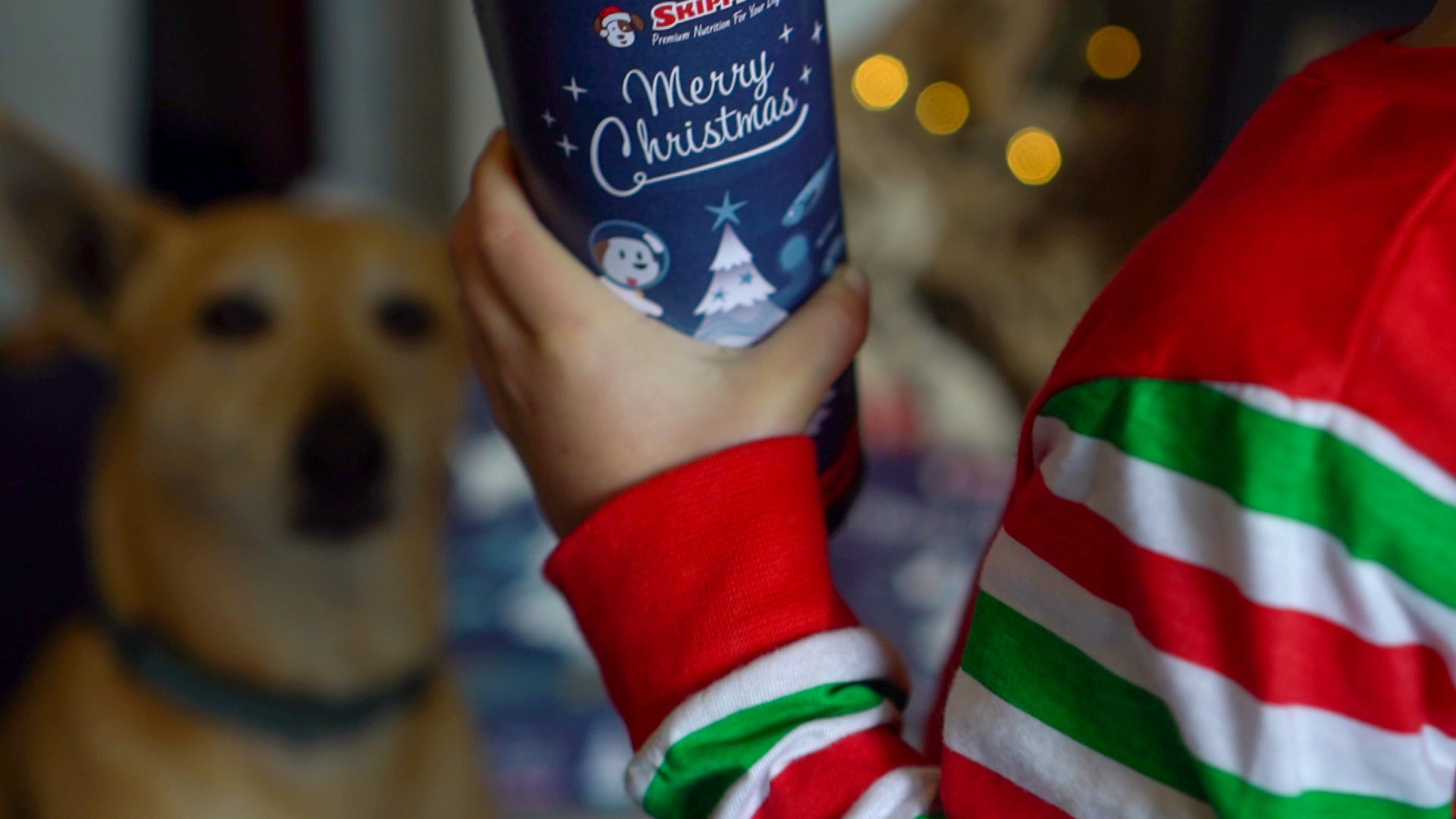 Christmas Bundle - Skipper's Pet Products