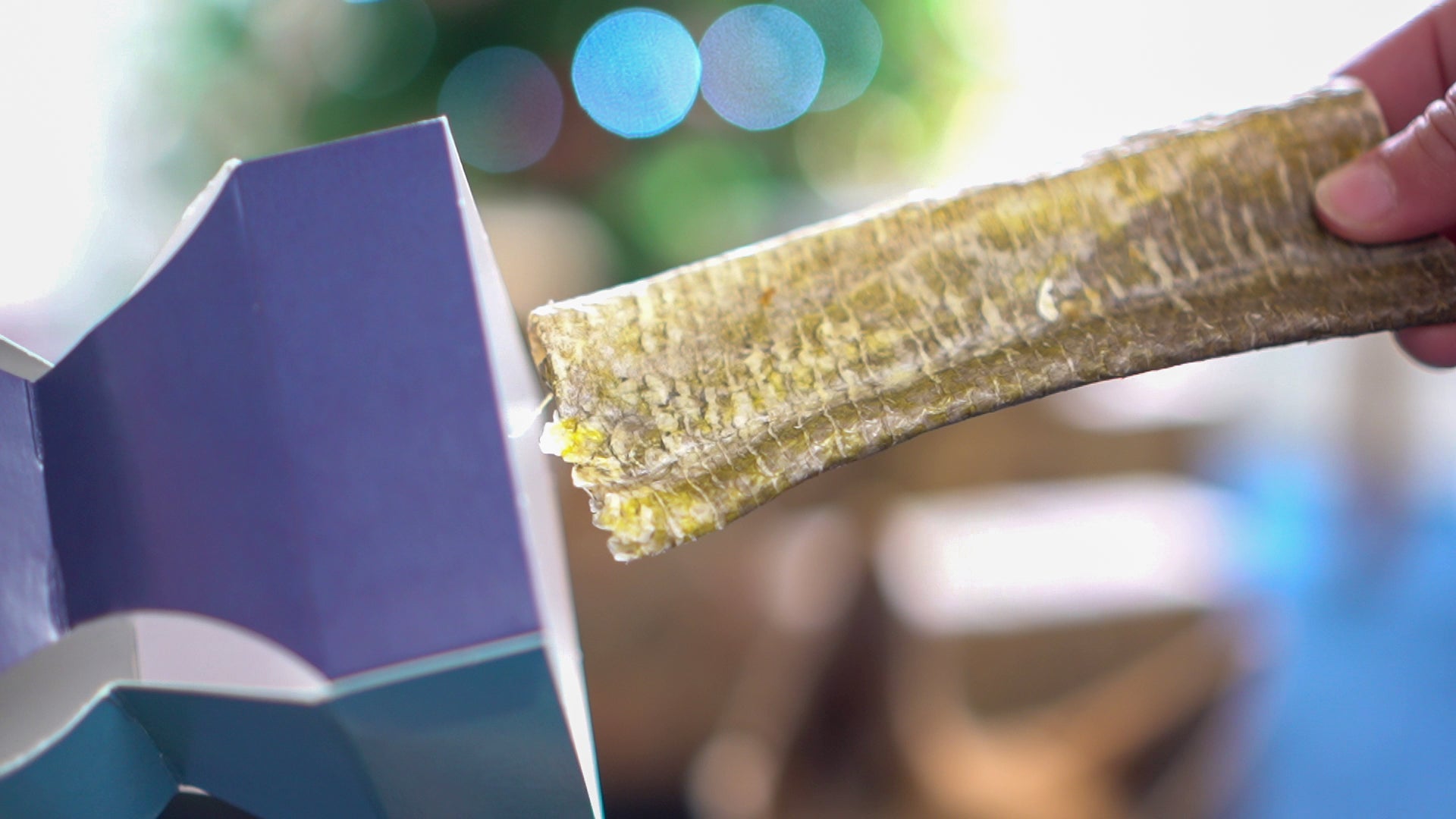 Christmas Cracker with Fish Skin Flatties - Skipper's Pet Products