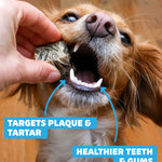 Dental Bundle - Skipper's Pet Products