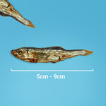 Dried Sprats - Skipper's Pet Products