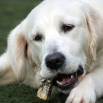 Fish Finger Skins - Skipper's Pet Products