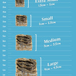 Fish Skin Cubes - Skipper's Pet Products