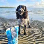 Fish Skin Twists - Skipper's Pet Products