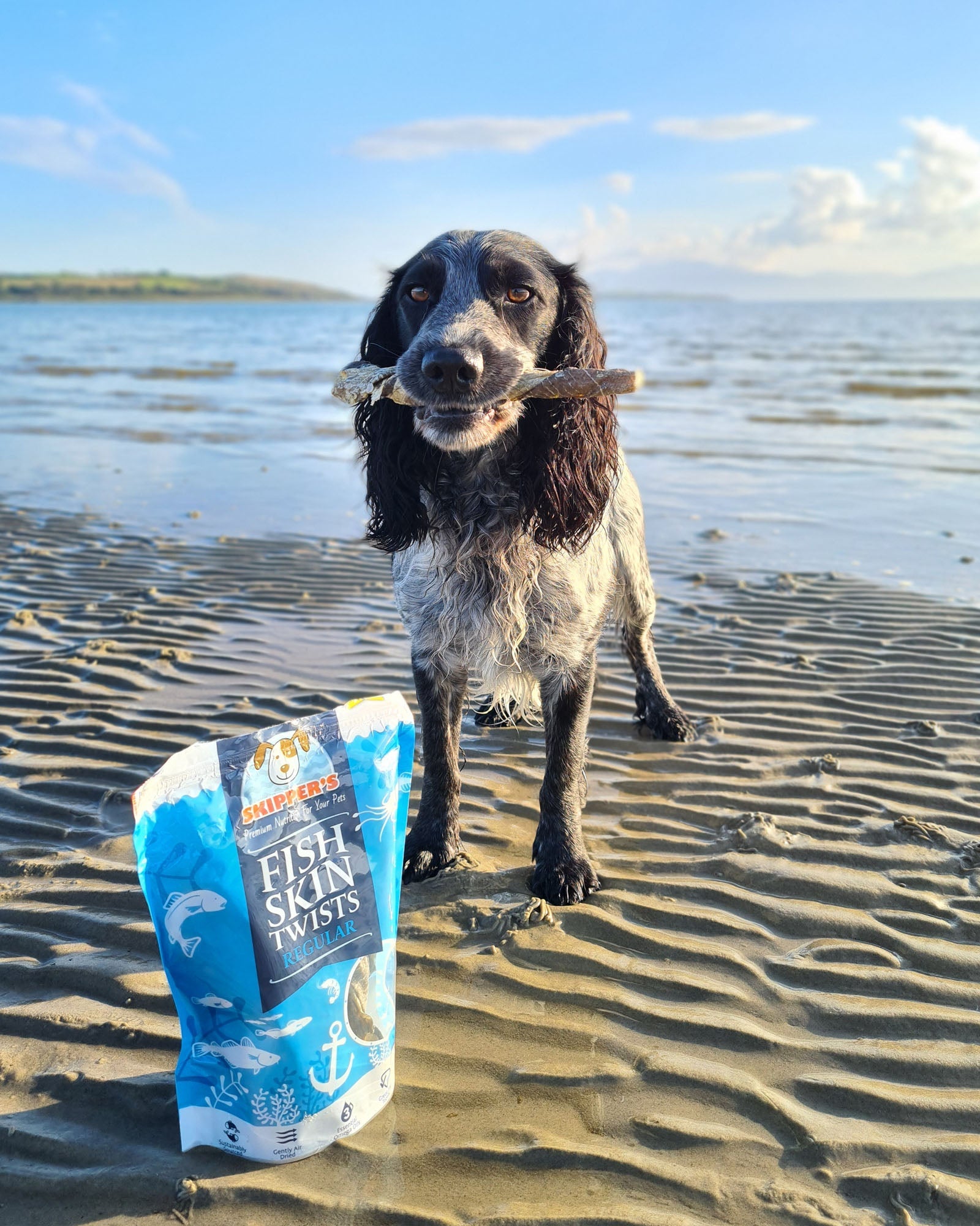 Fish Skin Twists - Skipper's Pet Products