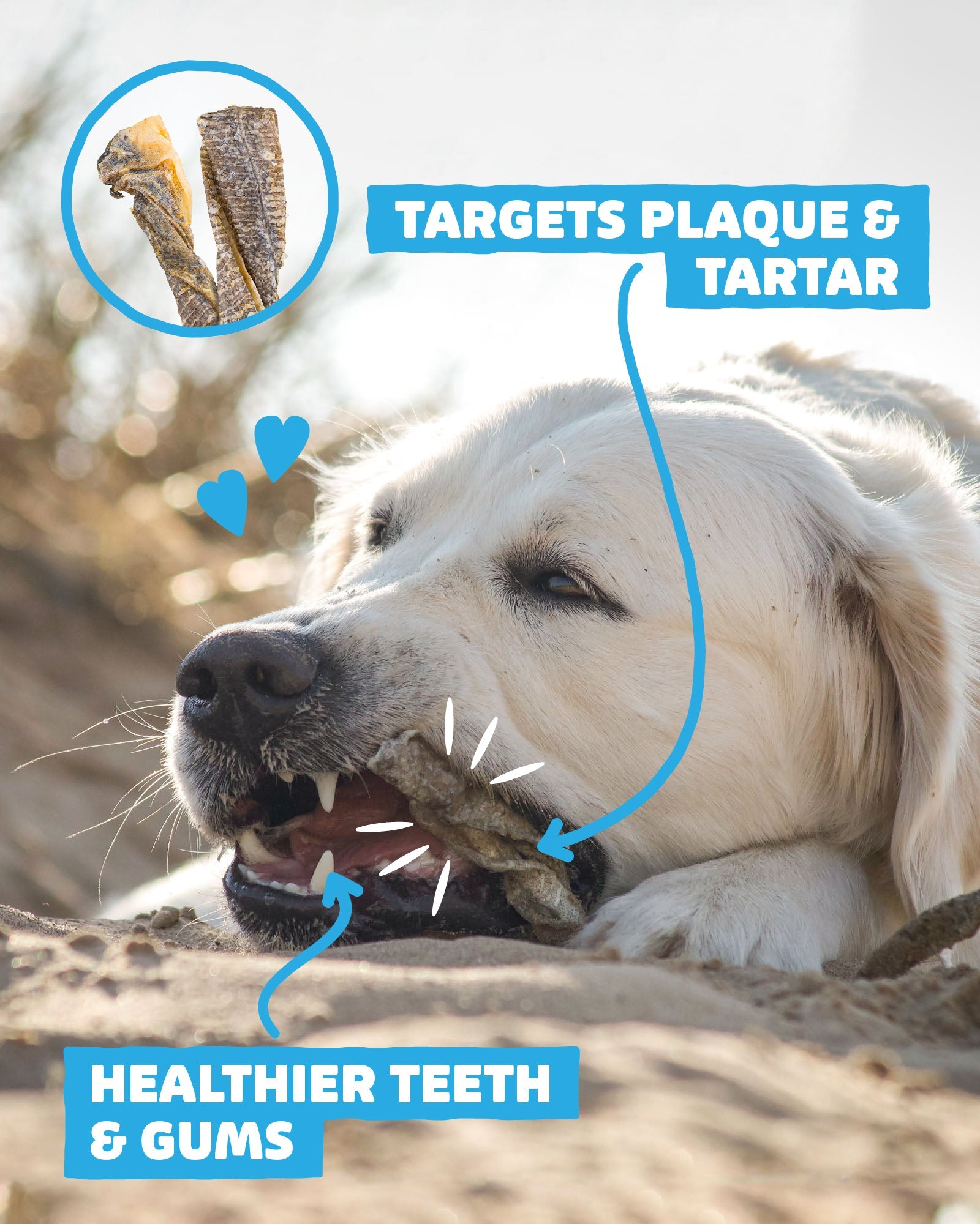 Fish Skin Twists - Skipper's Pet Products