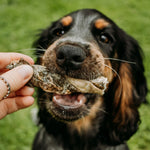 Fish Skin Twists - Skipper's Pet Products