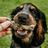 Fish Skin Twists - Skipper's Pet Products