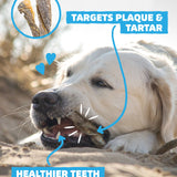 Fish Skin Twists - Try For £1 - Skipper's Pet Products