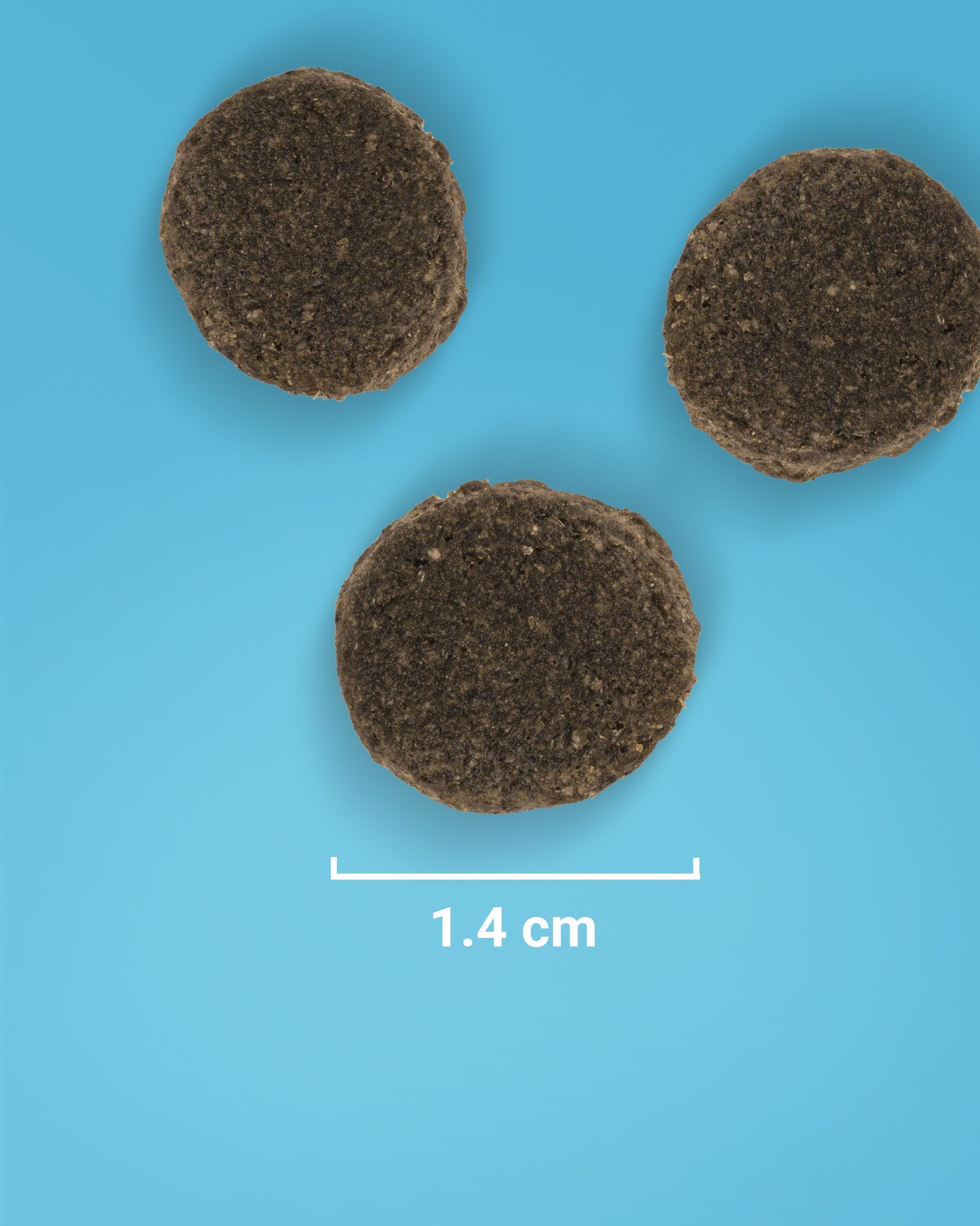 Ocean Feast - GRAIN FREE Salmon & Sweet Potato - Skipper's Pet Products