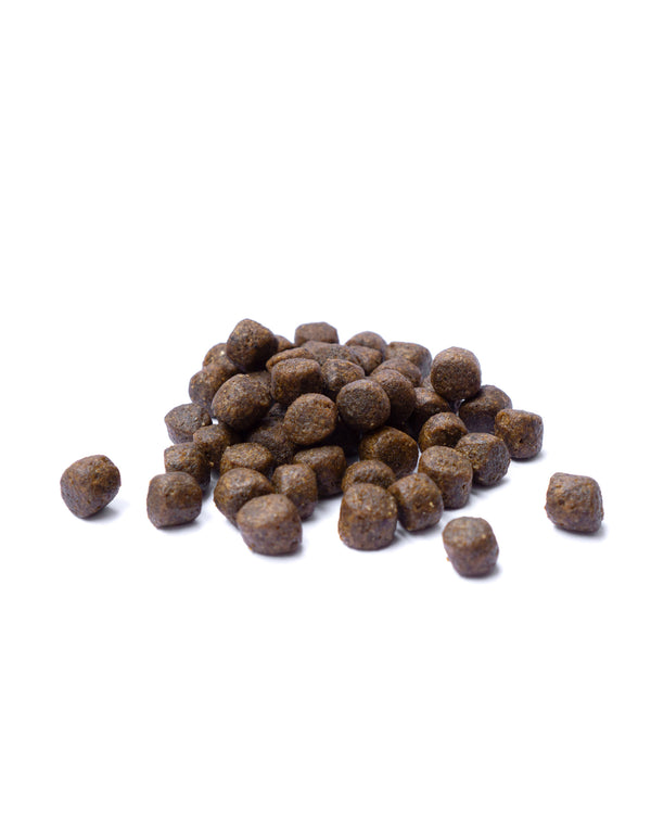 Ocean Puppy Grain Free Complete Food